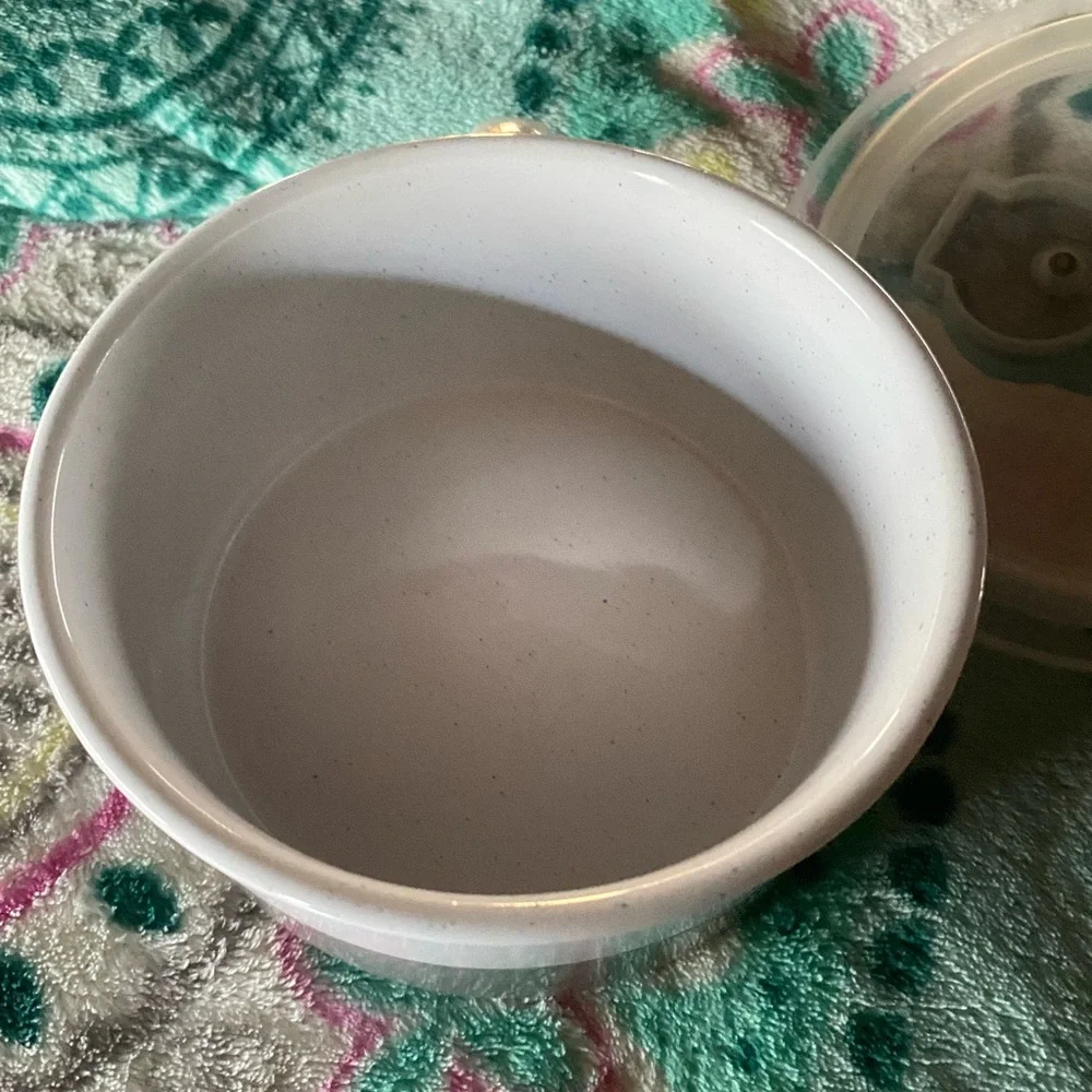 Pier 1 Microwave Safe Dish